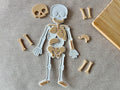 Cuerpo Humano armable
