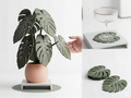Posavasos de Planta 3D